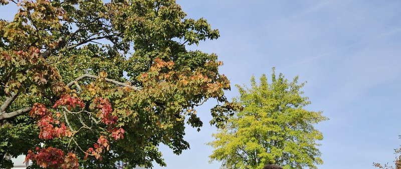Drei Teilnehmende an der DGSA-Tagung stehen vor dem Veranstaltungsort