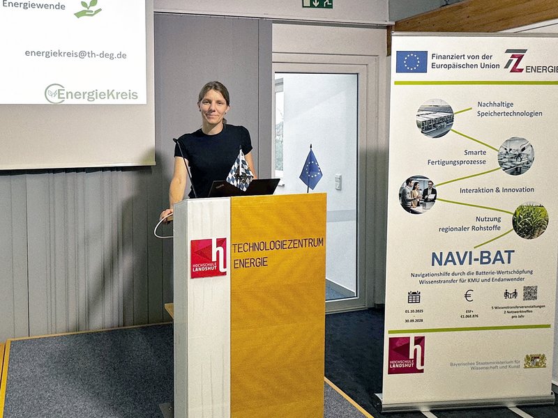 Das Projekt EnergieKreis stellte Dr. Maria Bieringer (TZE) vor. Das Projekt EnergieKreis stellte Dr. Maria Bieringer (TZE) vor.