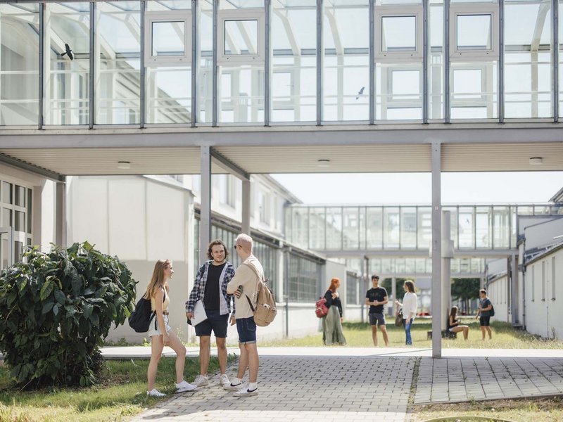 Gruppen von Studierenden stehen draußen und Unterhalten sich
