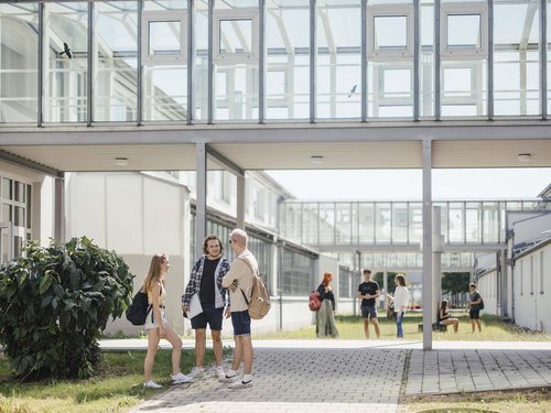 Gruppen von Studierenden stehen draußen und Unterhalten sich