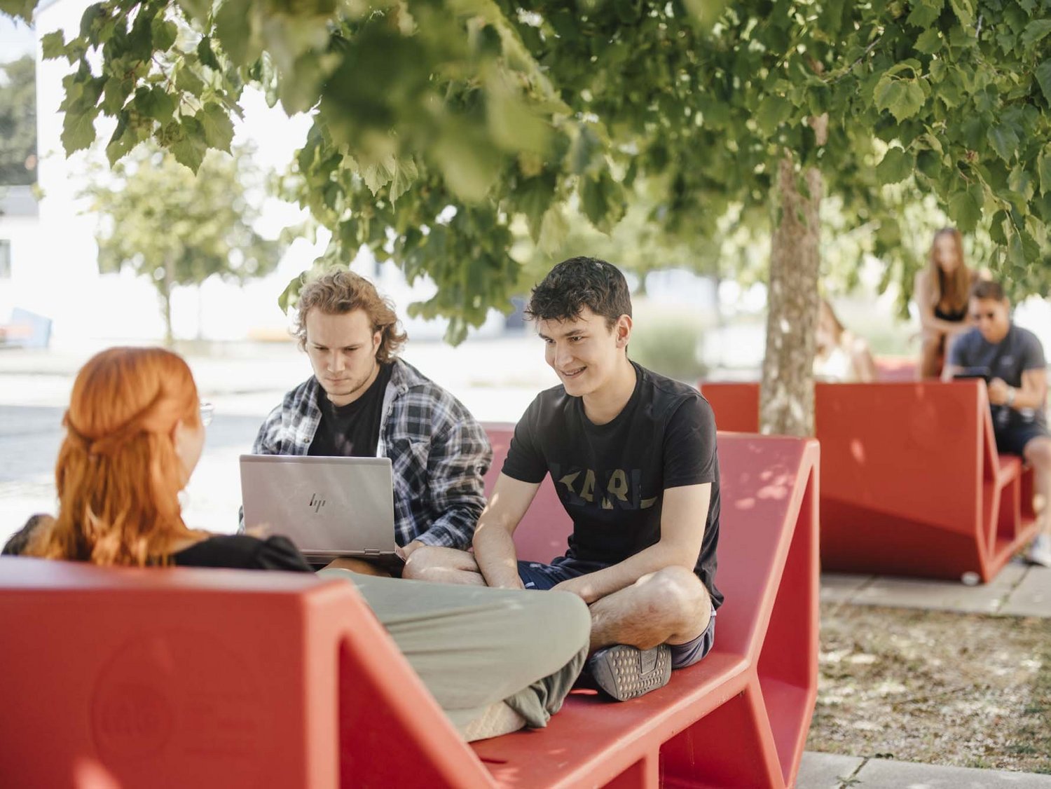 Studierende sitzen auf einem Enzo unter einem Baum