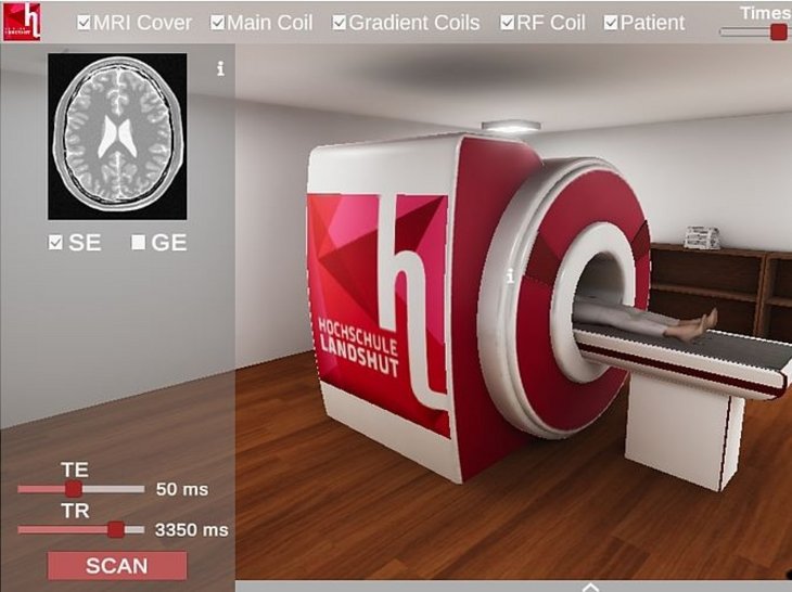3D simulations