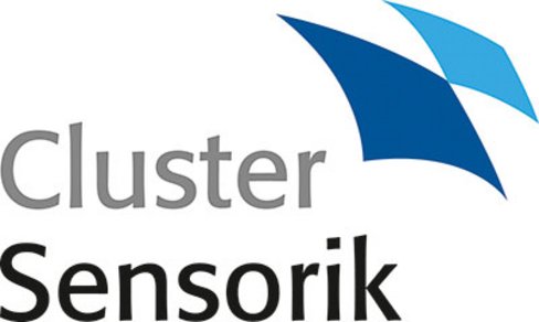 Logo Cluster Sensorik