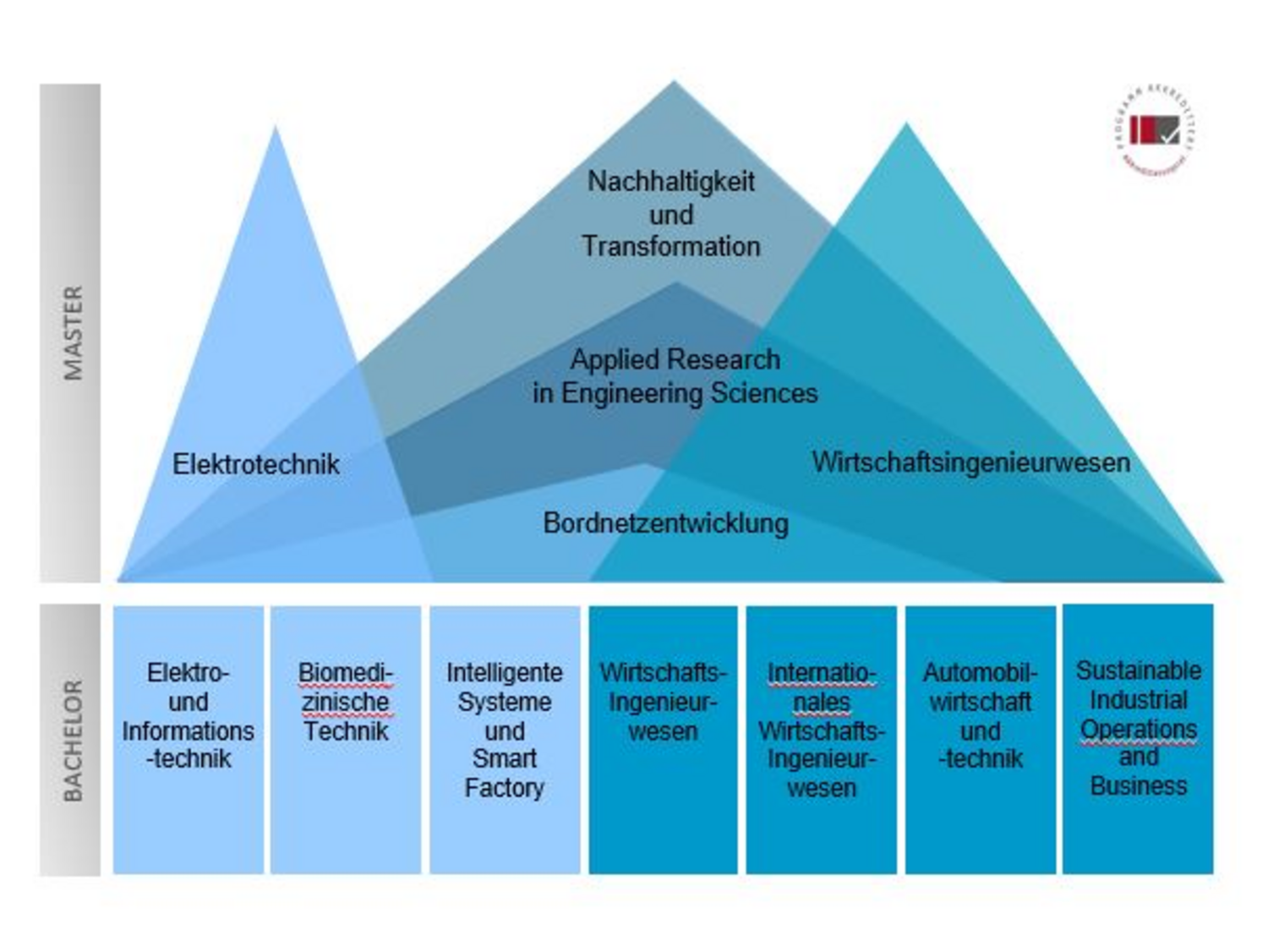 Optionen für Masterstudiengänge