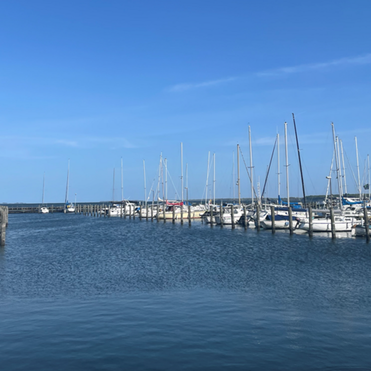 Hafenbucht mit vielen Segelbooten.