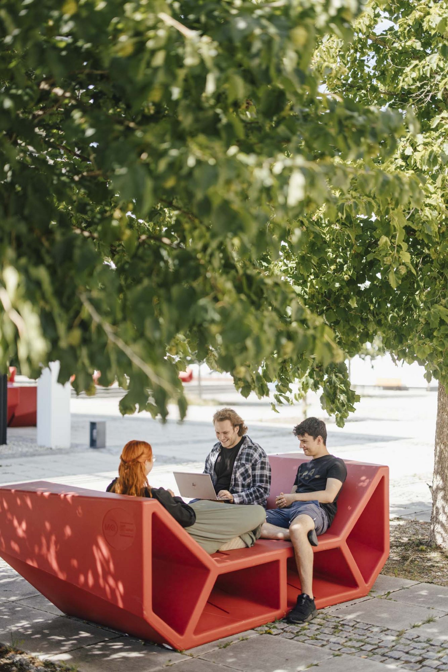 Studierende sitzen auf einem Enzo unter einem Baum